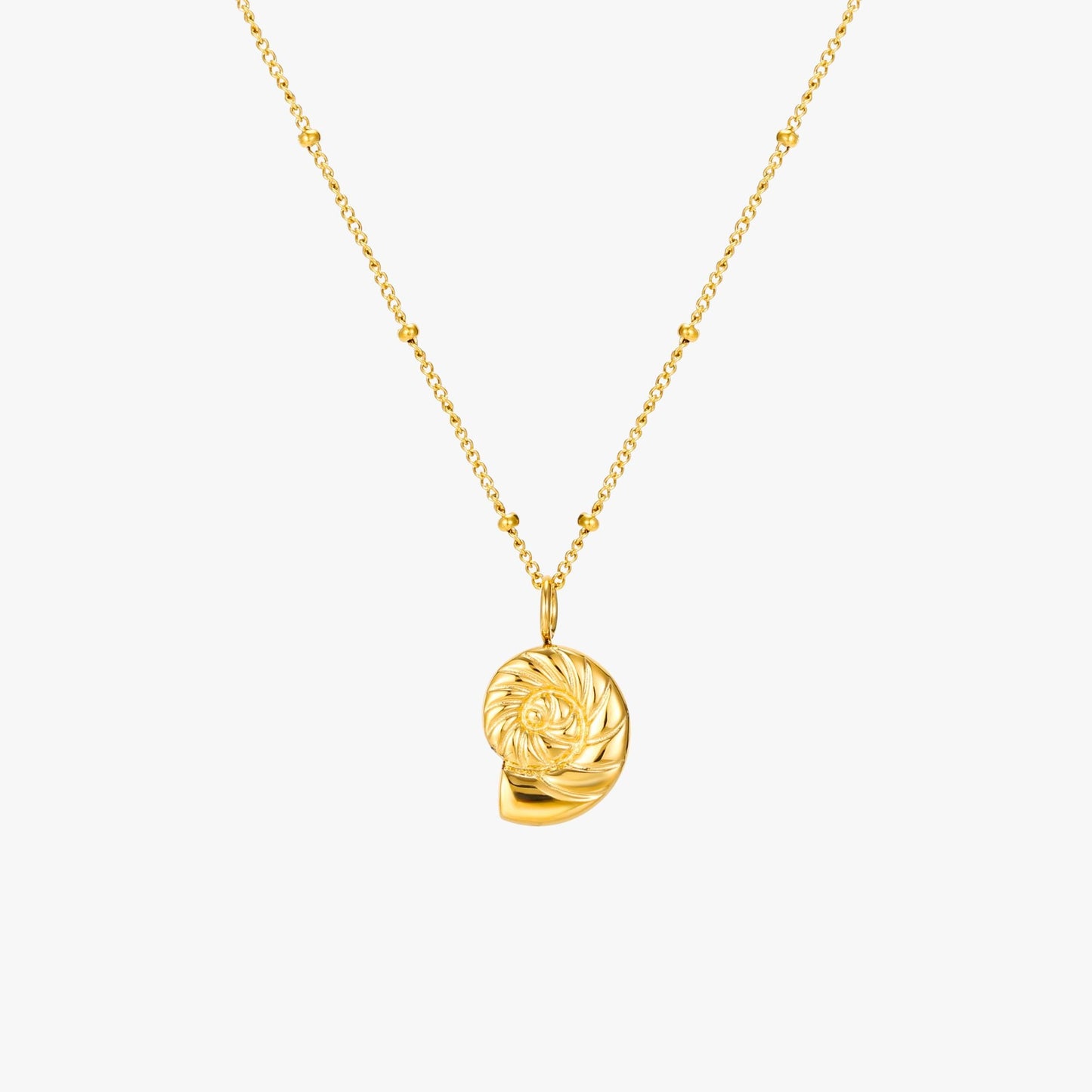 Collier Nautilus