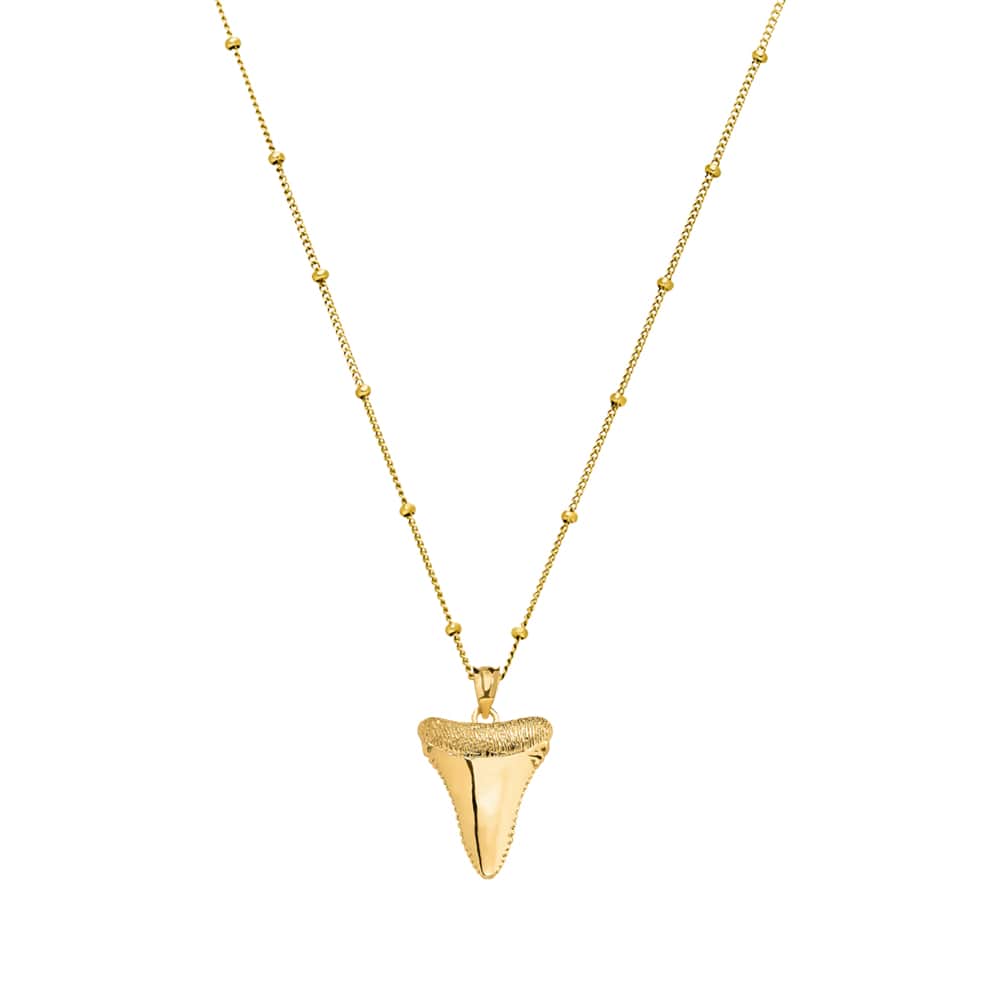 Collier dent de requin