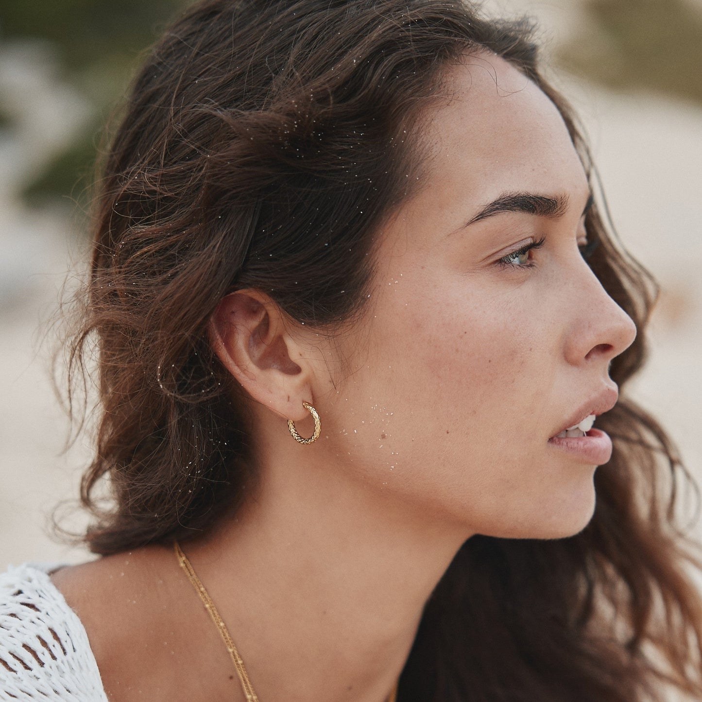 Hammered Hoops Earrings