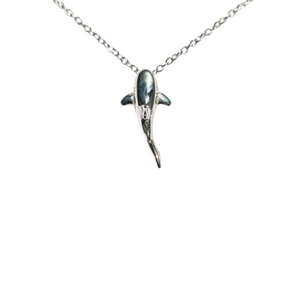 Collier Requin