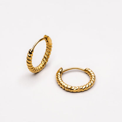 Twisted Hoops Earrings